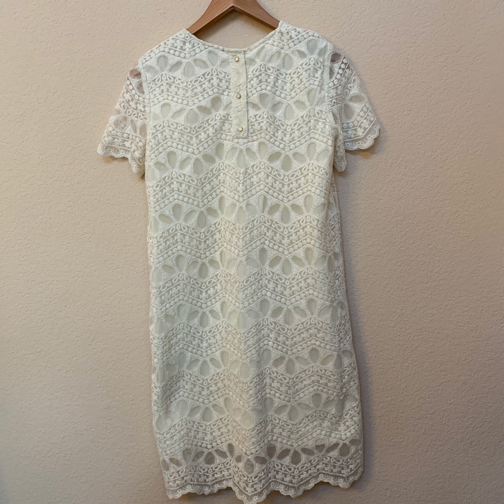 Zara Beige Cream Lace Short Sleeve Dress Small - Picture 5 of 8
